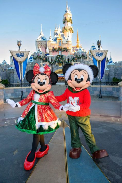 Disney World Christmas, Walt Disney Characters, Disney Pics, Disney California Adventure Park, Disney World Characters, Mickey Mouse Wallpaper, Mickey Christmas, Mickey And Minnie Mouse, Walt Disney Animation