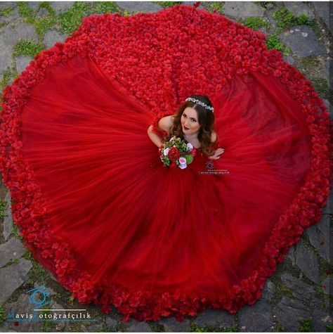 Red wedding dress Red Ball Gowns, Dresses Flowers, Gown Designs, Red Quinceanera Dresses, Off Shoulder Wedding Dress, Gold Prom Dresses, Bridal Ball Gown, Red Wedding Dresses, Prom Dresses For Sale