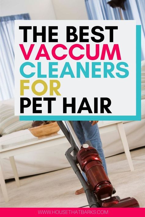 Best Pet Vacuum, Best Pet Hair Vacuum, Dog Hair Vacuum, Best Vacuum Cleaner, Pet Hair Vacuum, Small Vacuum, Pet Vacuum, Loose Hair, Pet Cleaning