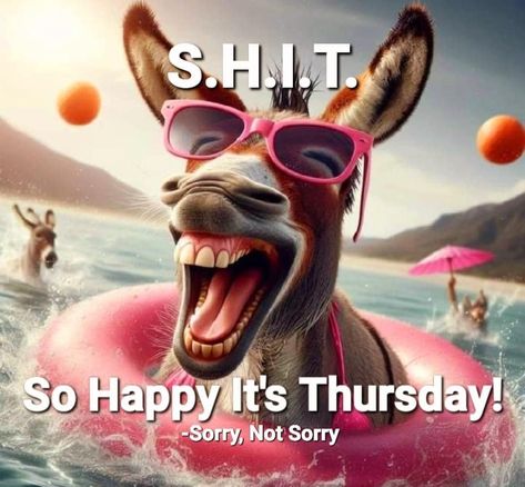 Funny Good Morning Messages, Good Morning Animals, Funny Good Morning, Thursday Humor, It's Thursday, Happy Day Quotes, Funny Day Quotes, Good Morning Thursday, Good Morning My Friend