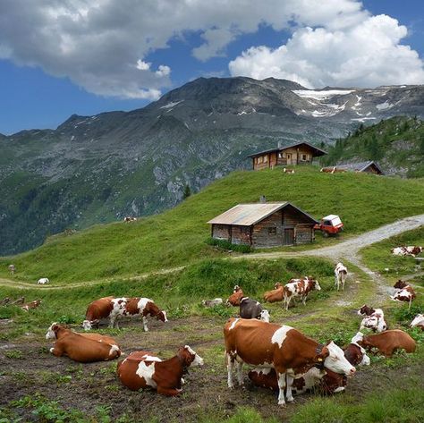 Mountain Farm, Dream Cottage, Beautiful Dream, Country Life, Farm Life, Beautiful Landscapes, Farm Animals, Trekking, Places To See