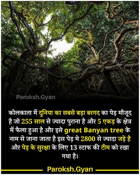 Fun Facts About Earth, Facts About Earth, Youtube Facts, Facts In Hindi, Amazon Forest, Interesting Facts In Hindi, Earth Illustration, Indian History Facts, Gk Questions And Answers