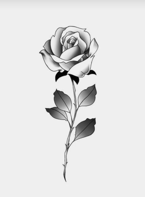 Rose With Stem, Two Roses, Rose Drawing, Tattoo Black, Black Tattoos, Concept Art, Hobbies, Illustrations, Tattoos