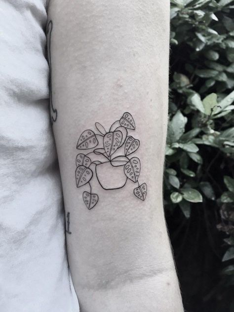 Manly Plant Tattoo, Simple Houseplant Tattoo, Tiny Pothos Tattoo, Aroid Plant Tattoo, Cute Plant Tattoo Ideas, Tiny Potted Plant Tattoo, Plant Related Tattoos, Potted Plant Tattoos, Small Houseplant Tattoo