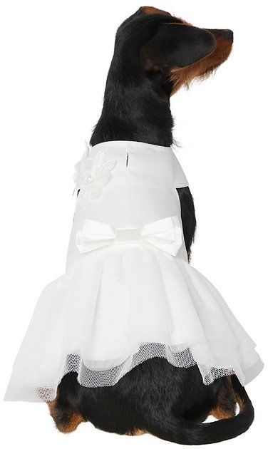 Wedding Dress For Dog, Dog Bridesmaid Dress, Dog Wedding Dress Pets, Small Wedding Dress, Dogs Outfits, Dog Wedding Outfits, Formal Dog, Dog Wedding Attire, Dog Wedding Dress