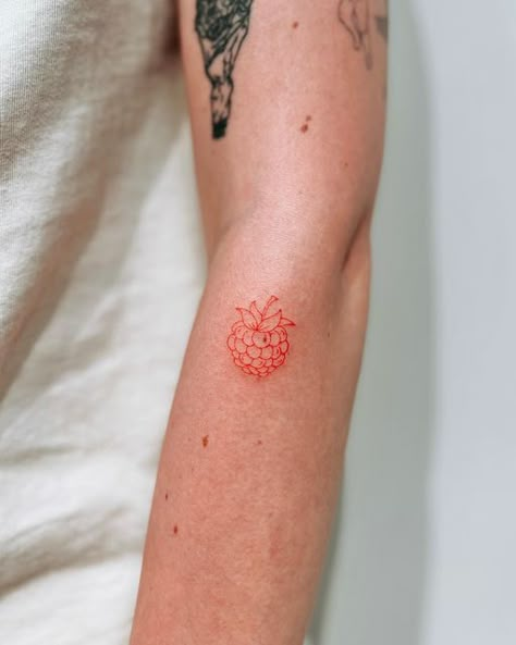 Dainty Raspberry Tattoo, Simple Raspberry Tattoo, Raspberry Fine Line Tattoo, Fine Line Berry Tattoo, Fruit Line Tattoo, Red Raspberry Tattoo, Raspberry Stamp Tattoo, Rasberry Tattoos Simple, Red Ink Fine Line Tattoo