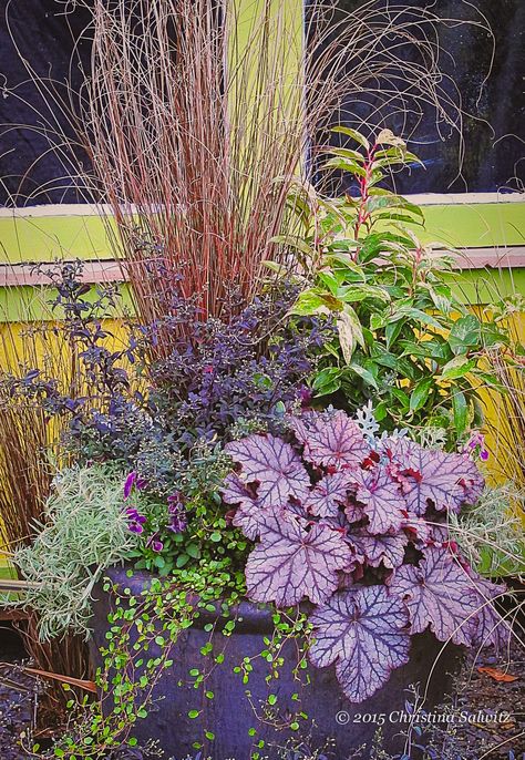 Moody #autumn colors in this #containerdesign. #FineFoliage Autumn Garden Pots, Moody Autumn, Garden Water Feature, Fall Containers, Potted Plants Outdoor, Garden Vines, Container Gardening Flowers, Fall Planters, Garden Whimsy