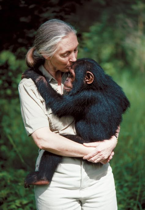 Future Life Goals Aesthetic, Zoologist Aesthetic, Jane Morris, Safari Sunset, Dian Fossey, Wildlife Biologist, Whitetail Bucks, Jane Goodall, Beluga Whale