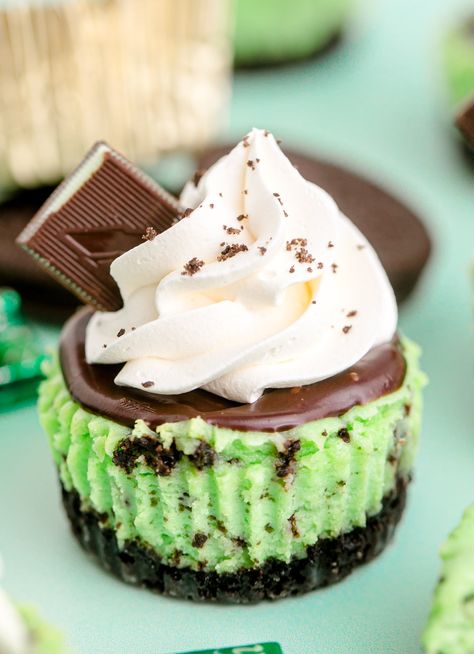 Andes Mint Cheesecake, Andes Mint Recipes, Mint Chocolate Cheesecake, Andes Mint Chocolate, Andes Mints, Mint Desserts, Mint Cheesecake, Mini Cheesecake Recipes, Andes Mint