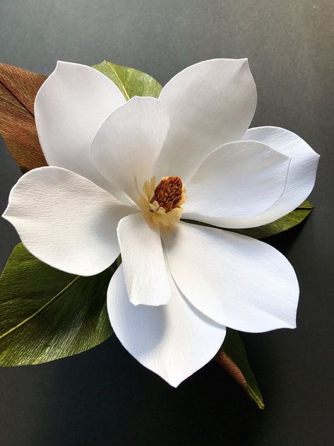 Magnolia grandiflora Magnolia Grandiflora, Paper Garden, Hanging Craft Ideas, Hanging Craft, New Paper, Crepe Paper Flowers, Magnolia Flower, Paper Flowers Diy, Clay Flowers