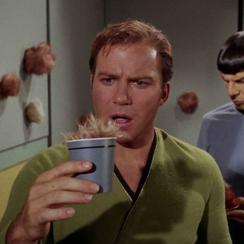 William Shatner as Captain James T. Kirk in 'Star Trek' (1966-69) People Drinking, Star Trek 1966, James T Kirk, Star Trek Funny, Star Trek Original Series, Star Trek Images, Star Trek Characters, Star Trek Movies, Star Trek Original