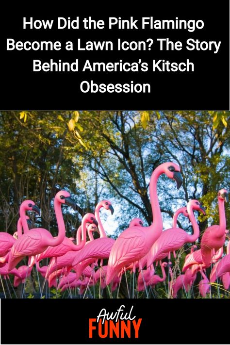 The pink flamingo lawn ornament has become an emblematic figure in American yards and a symbol of kitsch culture. Its journey from a piece of plastic to a Flamingo Yard Decor, Pink Flamingo Yard Decor, Flamingo Land, Flamingo Statue, Yard Flamingos, Plastic Flamingo, Lawn Flamingos, Pink Flamingos Lawn Ornaments, Plastic Pink Flamingos