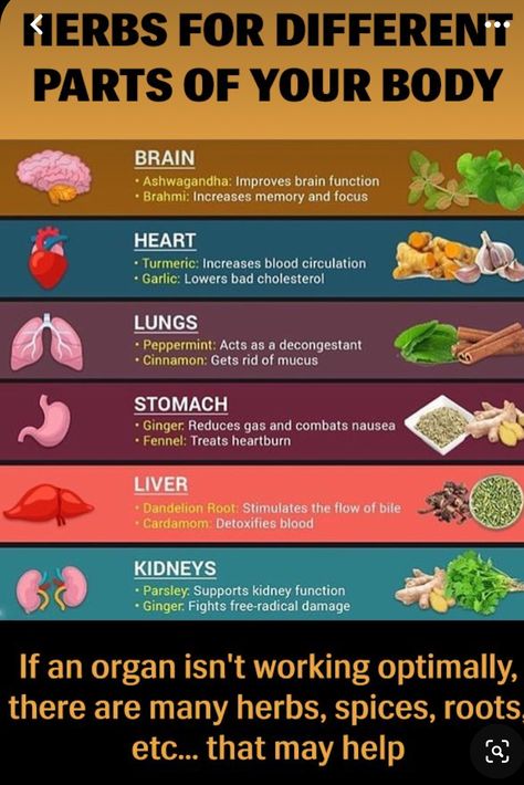 Getting Rid Of Mucus, Herbs Spices, Improve Brain Function, Natural Healing Remedies, Herbs For Health, Natural Therapy, Healing Herbs, Natural Health Remedies, Natural Home Remedies