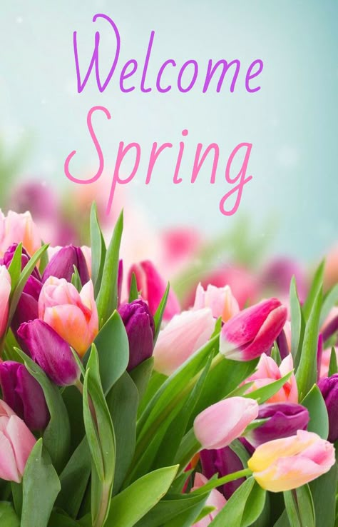 Welcome Spring Hello Spring Wallpaper, Happy Spring Day, Spring Quotes, Spring Images, Spring Months, Easter Wallpaper, Spring Pictures, Spring Wallpaper, First Day Of Spring