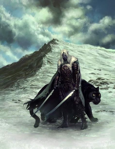 ❤️ Drizzt Do Urden, Arte Nerd, Elves Fantasy, Forgotten Realms, Dnd Art, Dark Elf, Animal Companions, Fantasy Rpg, Medieval Fantasy