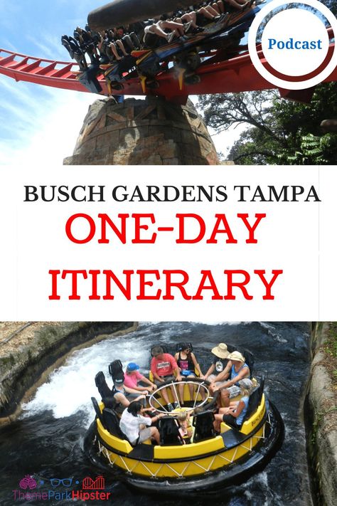 Busch Gardens Tampa Itinerary for One Day #tampa #buschgardens #themepark #florida Fort Meyers, Busch Gardens Tampa Bay, Florida Theme Parks, Florida Images, Bush Garden, Busch Gardens Tampa, Indian Shores, Tampa Bay Florida, Florida Adventures