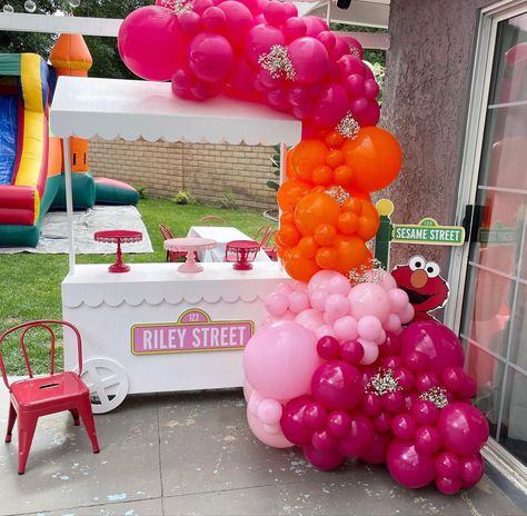 Aesthetic Elmo Party, Boho Elmo Party, Pink Elmo Party, Sesame Street Birthday Party Ideas 1st Girl, Girly Elmo Birthday Party Decoration, Aesthetic Sesame Street Party, Abby Sesame Street Birthday, Sesame Street 1st Birthday Party Girl, Pink Sesame Street Birthday