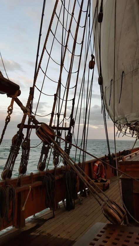 Nautical Aesthetic, Pirate Boats, Tall Ship, The Pirate King, Boat Stuff, Pirate Life, Fantasy Aesthetic, Tall Ships, Pirate Ship