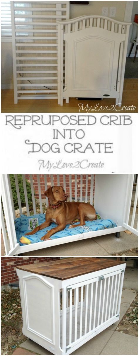 How clever is this repurposed crib turned into a dog crate from My Love 2 Create. Repurposed Crib, Dogs Accessories, Diy Dog Crate, Dogs Stuff, Toy Dogs, Pet Projects, Animal Projects, Diy Dog, Horse Training