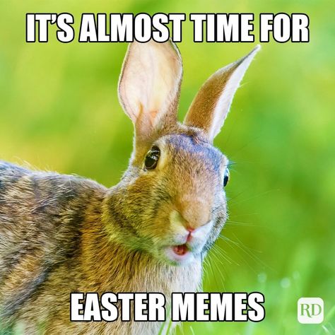 A 9 pieces jigsaw puzzle from Jigidi Memes For Kids, Easter Memes, Easter Puns, Easter Movies, Easter Jokes, Happy Easter Funny, Funny Easter Bunny, Love Puns, Puns Jokes