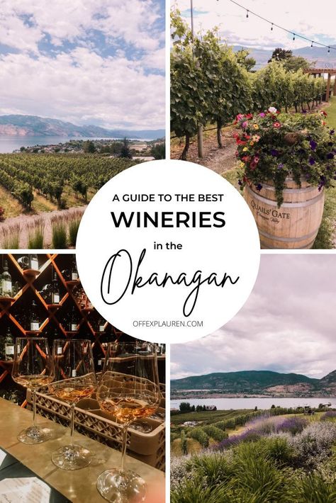 Canadian Road Trip, Canada Trip, Herb Farm, Okanagan Valley, Wine Guide, Wine Travel, Bc Canada, Wine Tour, Most Beautiful Cities