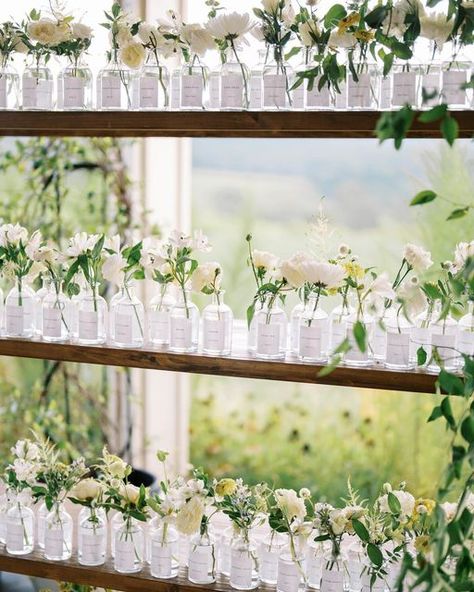 wedding invitations + signage by grecia león on Instagram: "their best buds🤍 there’s nothing that i love more than a unique and fun escort display or seating chart! if you have something fun in mind for your wedding, let’s chat! event planner/designer @amoreeventsco photographer @ashley.p.cox stationer @thenativeliondesigns venue @pippinhillfarm florals @cultivateeventco #weddingseatingchart #seatingchartideas #weddinginspiration #weddinginspo #virginiawedding #charlottesvillewedding" Our Best Buds Seating Chart, Wedding Seating Display, Wedding Backyard, 2025 Wedding, Charlottesville Wedding, Restaurant Wedding, Wedding Decor Inspiration, Future Wedding Plans, Wildflower Wedding