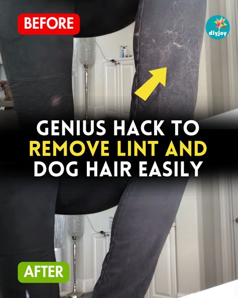 No need for a lint roller to remove lint and dog hair from your clothes with this simple hack! It is easy and done in just a few seconds. How To Remove Lint, Flea Shampoo, Make Dog Food, Remove Lint, Scotch Tape, Lint Roller, Animal Projects, Diy Stuffed Animals, Dog Hair