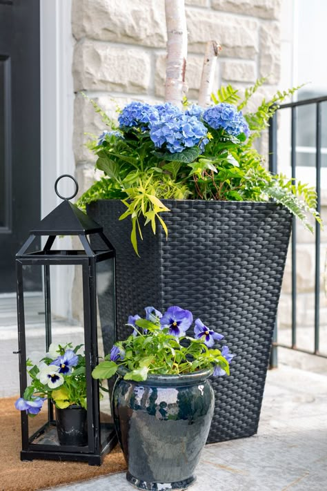 Potted plants are one of the easiest ways to dress up any space!  Be sure to check out these gorgeous porch planter ideas and inspiration front and back porches before sprucing up your own outdoor space. Front Porch Hydrangeas Planters, Porch Planter Ideas, Entrance Outdoor, Summer Planters, Front Door Planters, Front Porch Plants, Front Porch Flowers, Front Porch Planters, Door Planter