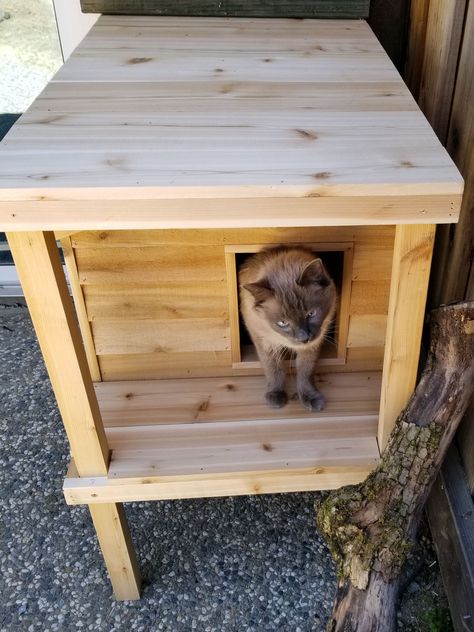 Feral Cat House Plans, Outdoorcathouse Diy, Making A Cat House, Easy Diy Outdoor Cat House, Barn Cat Shelter, Feral Cat Feeding Station, Diy Outdoor Cat Shelter, Stray Cat House, Outdoor Cat Shelter Diy