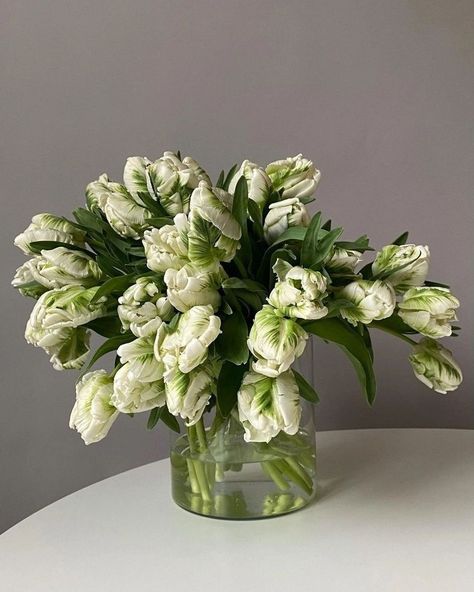 Green Floral Arrangements, Floral Designs Arrangements, White Floral Arrangements, Cabbage Roses, Beautiful Bouquet Of Flowers, Little Flowers, Fashion Lookbook, My Flower, Pretty Flowers