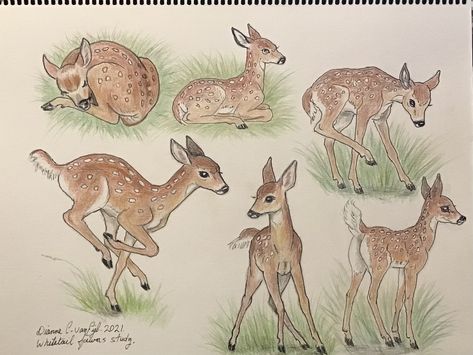 Deer Looking Up, Deer Aesthetic Drawing, Fawn Drawing Reference, Land Animals Drawing, Doe Drawings, Deer Drawing Reference, Deer Drawing Sketches, Deer Sketches, Fawn Drawing