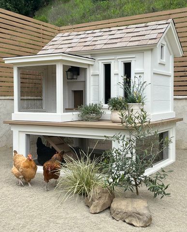 Bay Area Coops | Limited Edition Chicken Coop - "Pacific Farmhouse- Run Base" Classic White Farmhouse, Farmhouse Chicken Coop, Automatic Chicken Door, Animal Homes, Cute Chicken Coops, Hardware Cloth, Exterior Stain, Cute Chicken, Door Shelves