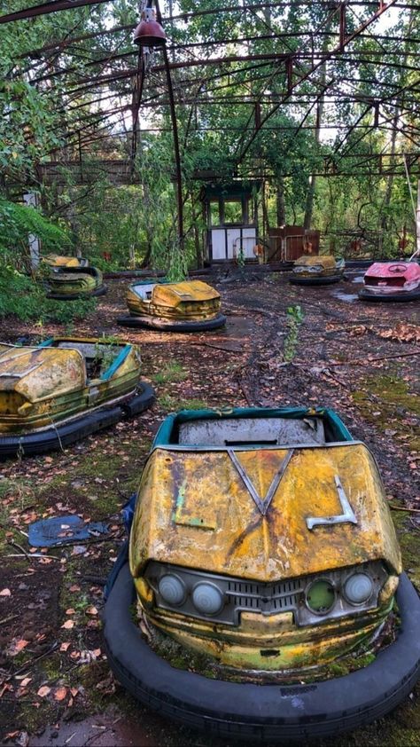 Purple Sunrise, Baby Sunflower, Apocalypse Landscape, Sunflower Plant, Dystopian Aesthetic, Abandoned Theme Parks, Apocalypse Aesthetic, Abandoned Amusement Parks, Chernobyl