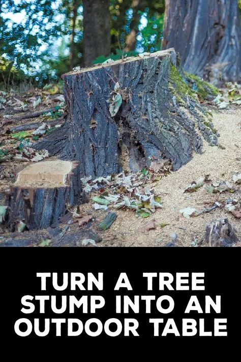 How to Turn a Tree Stump Into an Outdoor Table How To Decorate A Stump In Yard, Large Stump Ideas, Tree Trunk Table Outdoor, Painted Tree Stumps, Stump Table Outdoor, Stump Out, Tree Stump Ideas, Root Table, Tree Stump Table