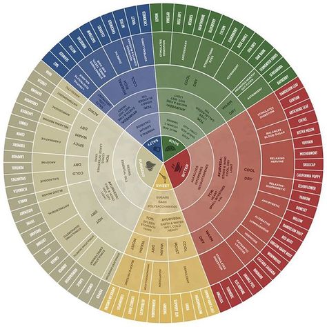 Oooh...this herbal energetics chart is so amazing! You can download it FREE and watch video lessons to help you find the right herbal remedy for your needs. Link in our bio! #herbalism #freedownload #herbalmedicine #video #flavorwheel Flavor Wheel, Learning Herbs, Mountain Rose Herbs, Herbal Tinctures, Healing Plants, Glazed Carrots, Healing Herbs, Medicinal Herbs, Medicinal Plants