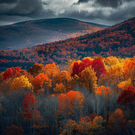 Catskill Mountains Captivating HD Scenic Photo Catskills Mountains, Backgrounds Autumn, Aesthetic Trees, Fall Landscape Photography, Beautiful Crafts, Landscape Images, Catskill Mountains, Scenic Photos, Photography Backgrounds