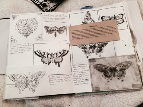 Sketch book for A Level art, fine liner butterflies #sketchbook #butterflies Insect Gcse Art, Butterfly Gcse Art Book, Fine Art Degree Sketchbook, Animal Art Sketchbook, Gcse Butterfly Art, Gcse Art Butterflies, A Level Art Sketchbook Nature, Gcse Art Sketchbook Animals, Butterfly Sketchbook Pages