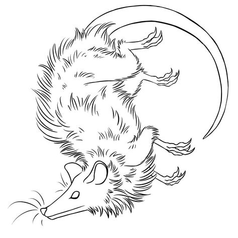 Possum Tattoo Design, Opossum Skull Tattoo, How To Draw Opossum, Opossum Silhouette, Opossum Tattoo Simple, Possum Sketch, Possum Tattoo Simple, Possum Illustration, Opossum Illustration