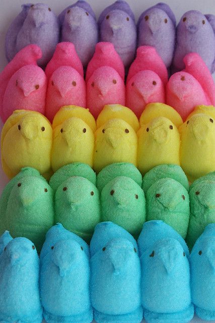 Eastercore Aesthetic, Peeps Aesthetic, Peeps Wallpaper, Peep Marshmallow, Peeps Marshmallow, Happy Easter Wallpaper, Pastel Cupcakes, Marshmallow Peeps, Rainbow Photography