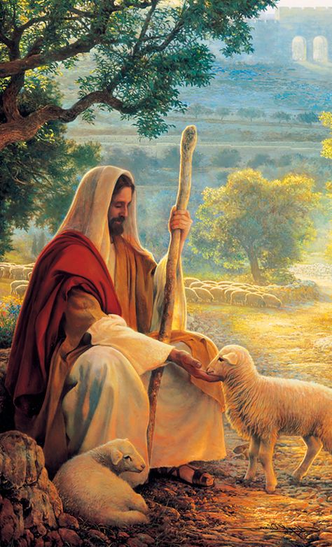 Jesus feeding His sheep Lds Memes, Twelve Apostles, Lds Quotes, The Good Shepherd, Our Savior, Gospel Of Jesus Christ, Jesus Is Lord, Son Of God, Jesus Pictures