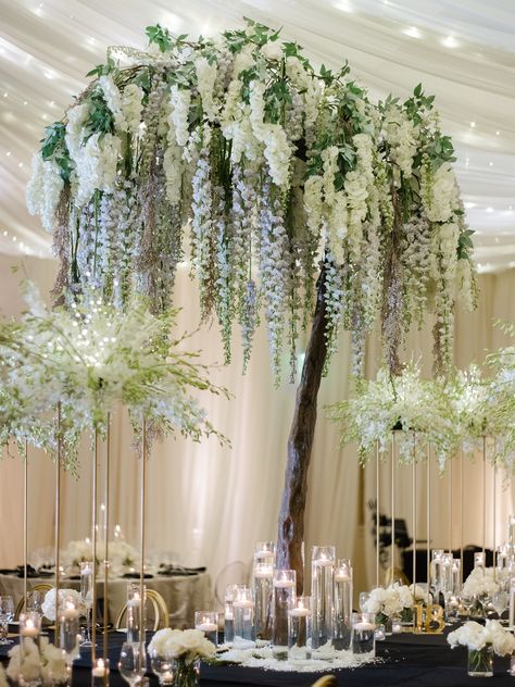 Elephant Ear Wedding Decor, White Japanese Wisteria Trees, Fall Wisteria Wedding, Blue Wisteria Wedding, White Wisteria Wedding, Wisteria Floral Arrangements, Wisteria Bridal Bouquet, Wisteria Arch, Wisteria Backdrop