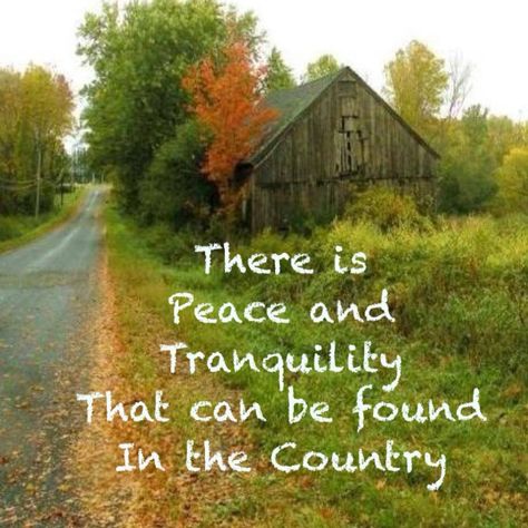 Motivational Country Living Quotes, Country Life Quotes, Barbie Quotes, Living Quotes, Everything Country, Peace And Tranquility, Good Quotes, Country Roads Take Me Home, Country Quotes