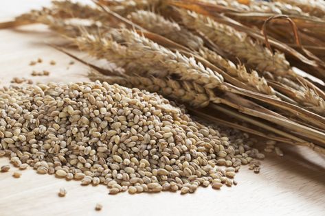 Is Pearl Barley More Nutritious Than Rice? | Livestrong.com Barley Rice, Barley Grain, Broccoli Nutrition, Control Cravings, Pearl Barley, Nutrition Bars, Vegetable Nutrition, Low Cholesterol, Nutrition And Dietetics