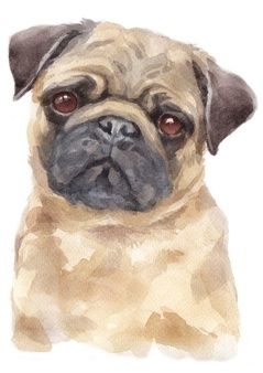 Premium Photo | Water colour painting of pug