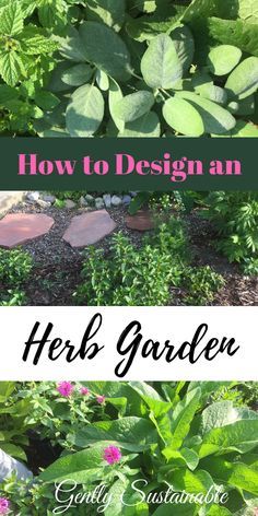 Herb Garden Design Layout, Herb Garden Layout, Outdoor Herb Garden, Diy Herb Garden, Herb Garden Design, Garden Design Layout, Perennial Herbs, Indoor Herb Garden, Healthy Garden