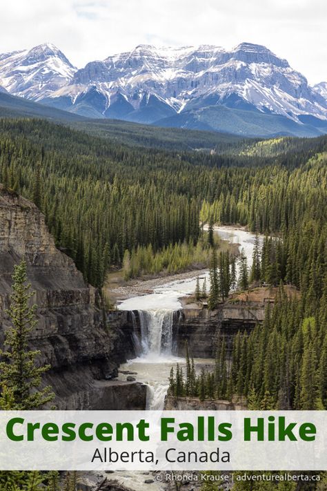 The Crescent Falls hike is an active way to discover one of Alberta’s most beautiful waterfalls. Here's what to expect on Crescent Falls Trail. (adventurealberta.ca) | Alberta travel, Alberta hikes, Alberta hiking trails, Canada, Canada hikes, Canada hiking trails #nature #waterfall #hiking #mountains #travel #travelinspiration #traveldestinations Canada Hikes, Alberta Hikes, Alberta Summer, Travel Alberta, Canada Nature, Alberta Travel, Nature Waterfall, Canada Travel Guide, Hiking Mountains