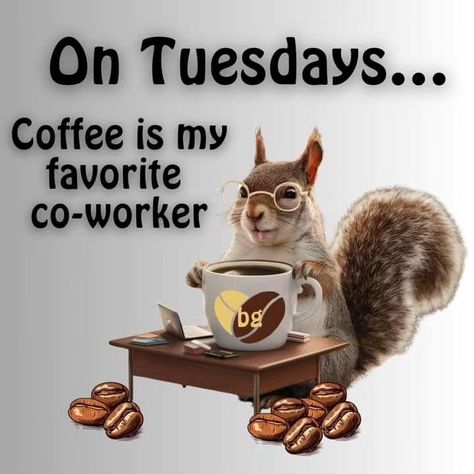 Happy Tuesday Morning Blessings, Work Memes, Happy Tuesday, Funny Humor, Humor, Memes, Funny, Humour