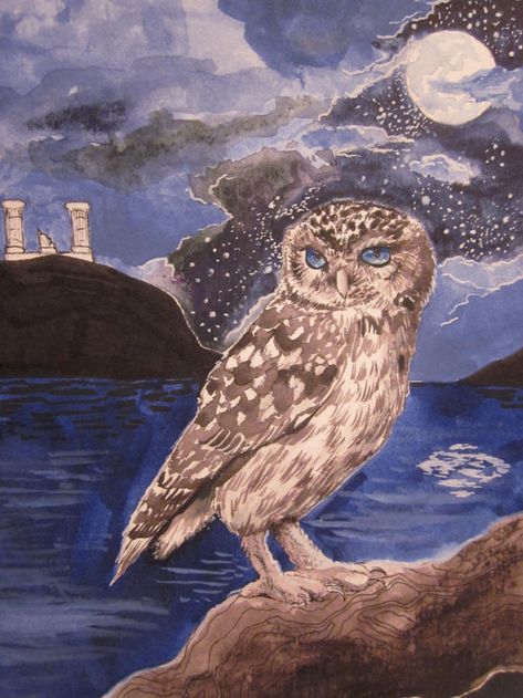 The Owl of Athena by mandolin-crow Owl Of Athena, Athena Owl, Goddess Of Wisdom, Small Owl, Crow Art, Athena Goddess, Art Folder, Blue Eyed, Knowledge And Wisdom