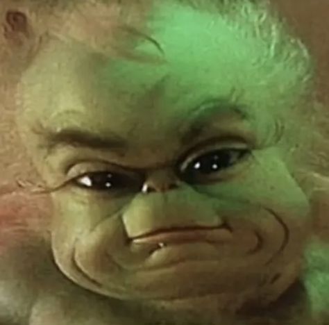 Feeling Cute Might, Baby Grinch, Grinch, Things That, Puppies