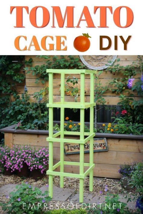 Build a sturdy wooden tomato cage for your tomato vines. #gardening #gardenideas #garden #empressofdirt #gardenblog #tomatoes #growtomatoes #vegetablegardening #heirloomseeds #heirloomtomatoes #hybridtomatoes #tomatocage #tomatogrowing #beginnergardenertips #growingtips #backyardgardening #gardentips #diy Tanaman Tomat, Tomato Support, Vegetables Growing, Tomato Trellis, Free Building Plans, Tomato Vine, Tomato Farming, Growing Tomatoes In Containers, Gardening Projects